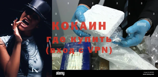 шишки Волоколамск