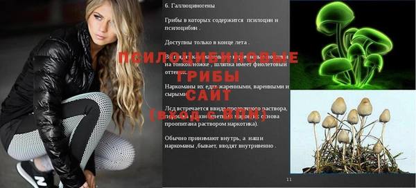 MDMA Бородино